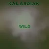 Stream & download Wild - Single