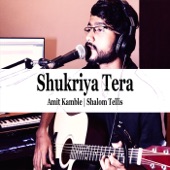 Shukriya Tera artwork