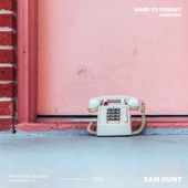 Sam Hunt - Hard to Forget