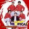 Cangrejito Playero - Tropical del Bravo lyrics