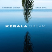 Kerala Dream artwork