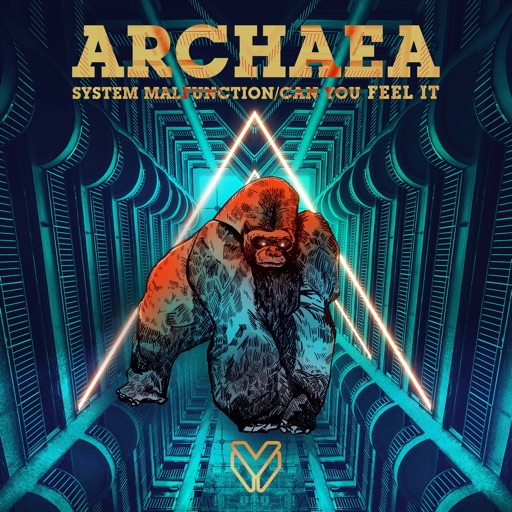 System Malfunction / Can You Feel It - Single by Archaea