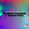 Umur Anil Gokdag - Everything I Wanted