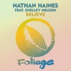 Believe (feat. Shelley Nelson)