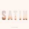 Satin (feat. Nico de Andrea) - Single