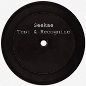 Test & Recognise (Flume Re-work) by Seekae