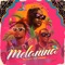 Melanina (feat. Relax Buay, DCQ & Darnelt) artwork