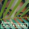 2 Horas de Flauta Tribal - Música Instrumental Ir a la Cama, Calmarse y Sueño Profundo y Reparador