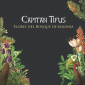 Flores del Bosque de Bolonia artwork