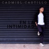 En la Intimidad - Single