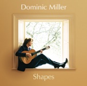 Dominic Miller: Shapes artwork