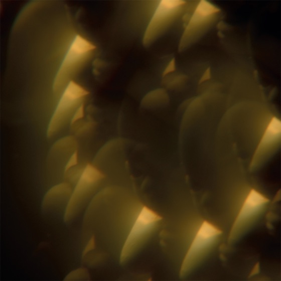 Cover artwork for Theme from 'Likely Stories'