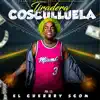 Stream & download Tiradera Cosculluela - Single