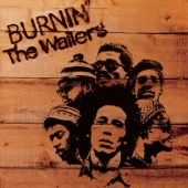 The Wailers - Get Up, Stand Up