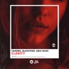 Clarity - Single