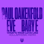 What's Your Love Like (Hollaphonic Extended Remix) artwork
