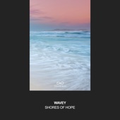 Shores of Hope artwork