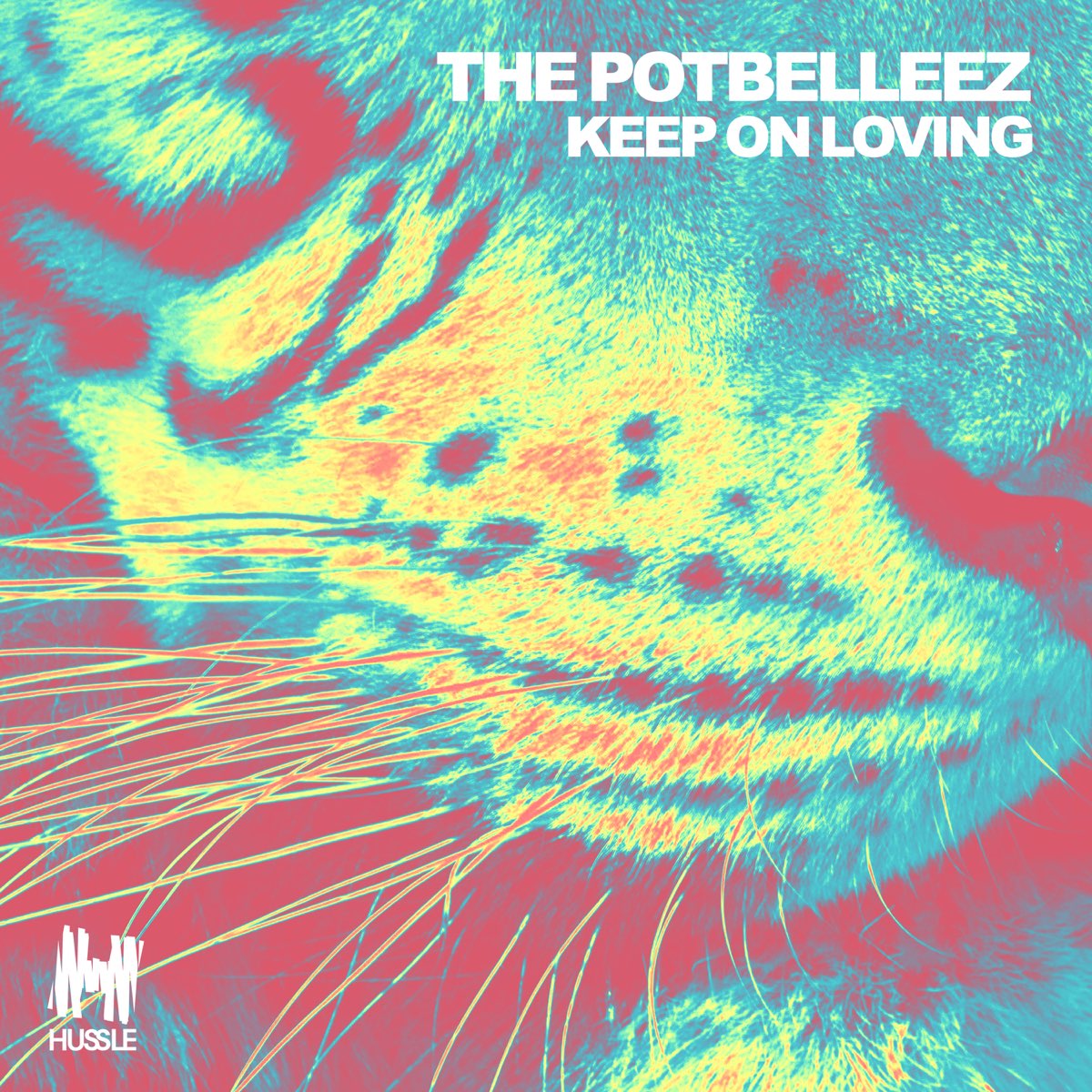 Loving on me слушать. Keep on. The Potbelleez albums. Keep on электронная музыка. Teep on внезапная обложка.