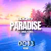 Paradise (Dc13 Remix) [Dc13 Remix] - Single album lyrics, reviews, download