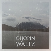 Chopin Waltz artwork