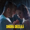 Singura Greseala - Single