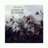 Love Is Suicide (feat. Jxve) song lyrics