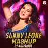 Sunny Leone Mashup song lyrics