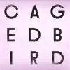 A Caged Bird / Imitations of Life - Single album lyrics, reviews, download