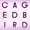 A Caged Bird / Imitations of Life - Single