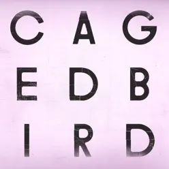 A Caged Bird / Imitations of Life - Single - The Cinematic Orchestra A Caged Bird / Imitations of Life - Single - The Cinematic Orchestra
