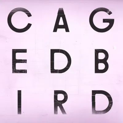 A Caged Bird / Imitations of Life - Single - The Cinematic Orchestra A Caged Bird / Imitations of Life - Single - The Cinematic Orchestra