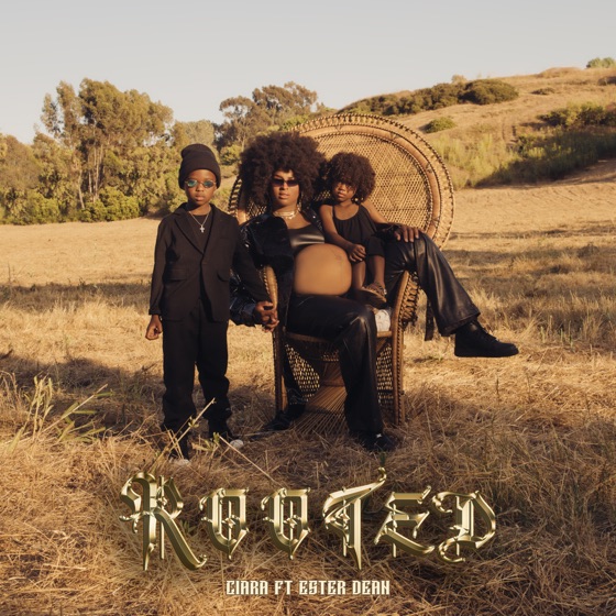 Cover artwork for Rooted (feat. Ester Dean)