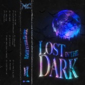 Lost In the Dark artwork