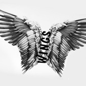 Wings artwork