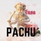 Tusa (feat. Dj Alex A) - Pachu lyrics