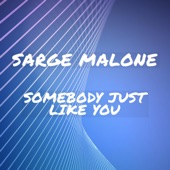 Somebody Just Like You artwork