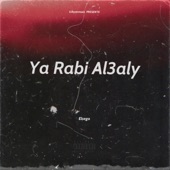 Ya Rabi Al3aly artwork