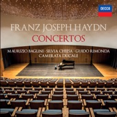 Haydn: Concertos artwork