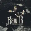 Raw 16 (feat. KRS-One) - Single album lyrics, reviews, download