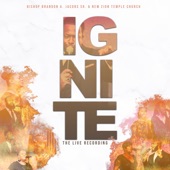 Ignite (Live) artwork