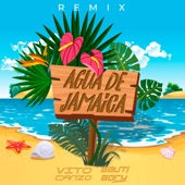 Agua de Jamaica (Remix) artwork