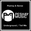Underground / Tell Me - Single album lyrics, reviews, download