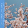 Ferdinand Weber - What They Call Love (Zoom.Like Remix)