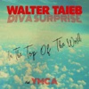 On the Top of the World (feat. Ymca) - Single
