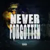 Never Fogotten (feat. Trife Bomber, Illmatt & Punch) - Single album lyrics, reviews, download