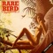 Hammerhead - Rare Bird lyrics