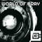 World of Gray (feat. Swiblet) - CG5 lyrics