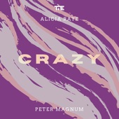Crazy (feat. Peter Magnum) artwork