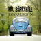 Roy Orbison - Mr. Berryhill lyrics