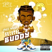 R.I.P Buddy artwork